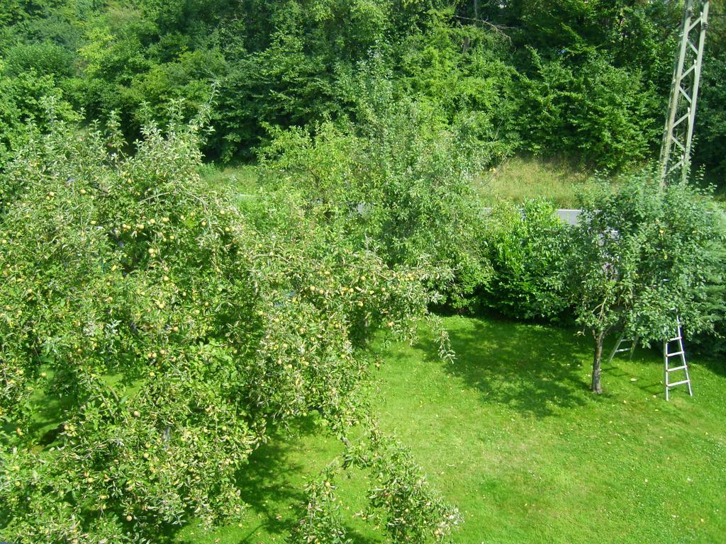 Ferienwohnung Leichlingen Camera foto